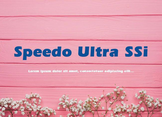 Speedo Ultra SSi example